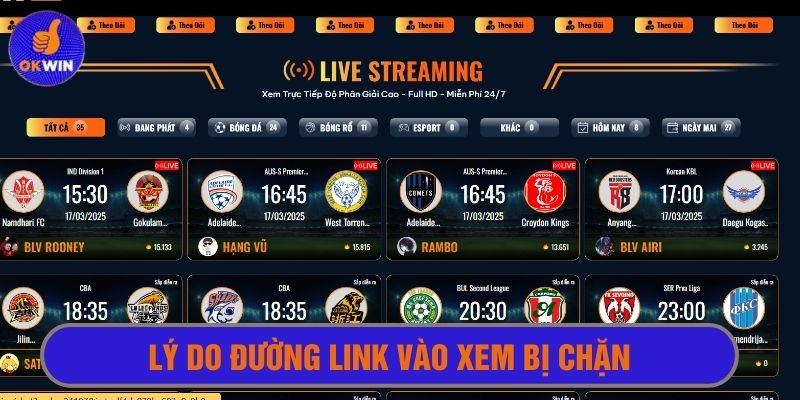 Đường link bị chặn một trong số nguyên có thể do đường truyền mạng 