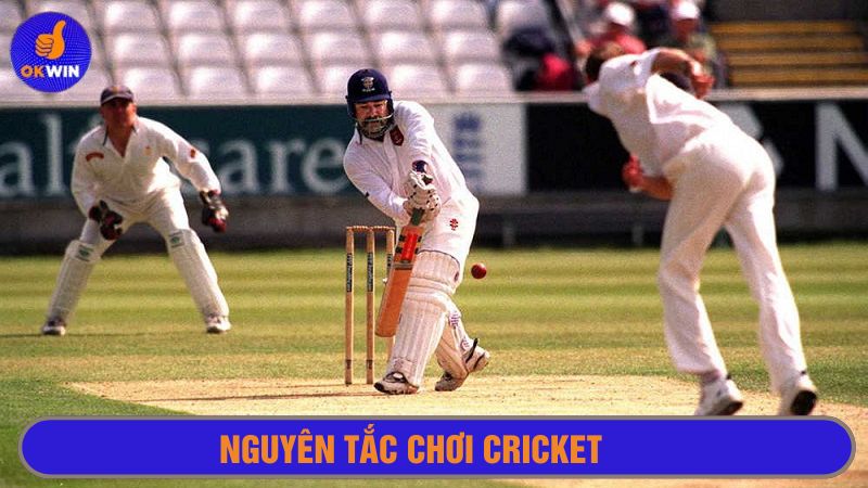 Trận đấu Cricket có 2 đội bóng tham gia