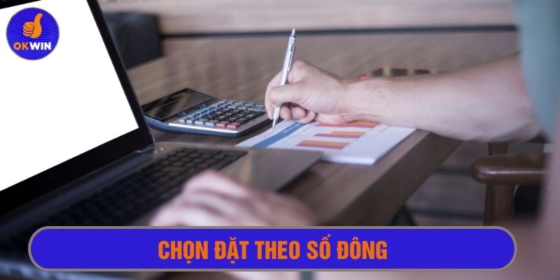 Luôn phân tích và đặt kèo theo số liệu cụ thể thay vì chọn giống số đông