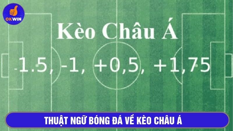 Cập nhật thuật ngữ sử dụng trong kèo châu Á