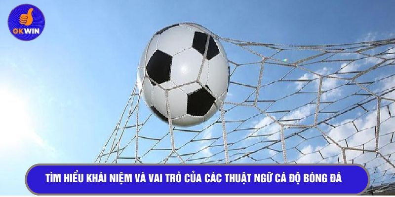 Tìm hiểu khái niệm thuật ngữ cá độ bóng đá 