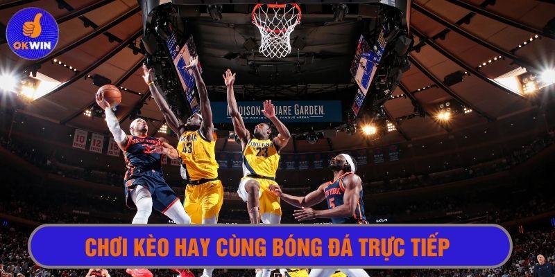 Xem trực tiếp những trận bóng rổ từ giải đấu hàng đầu 