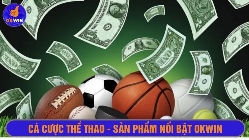 Cá cược thể thao là một trong những cổng game hút khách của okwin
