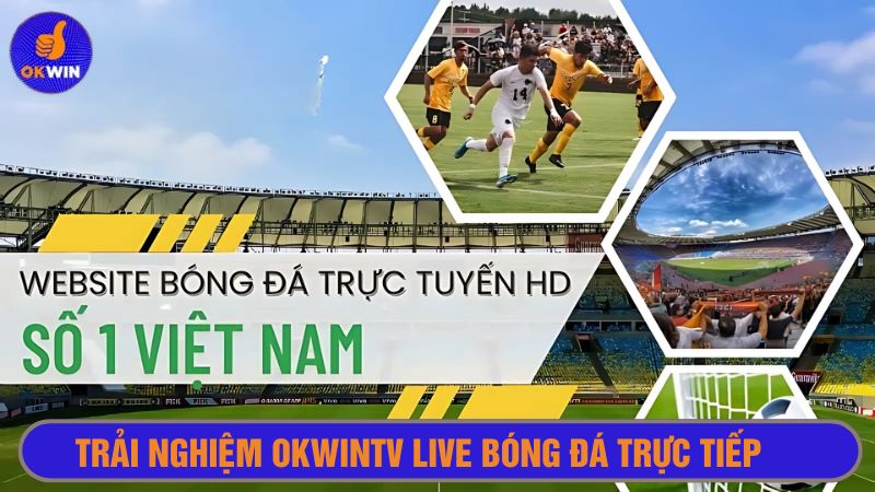 Okwintv live bóng đá trực tiếp - Trang thể thao hàng đầu hiện nay