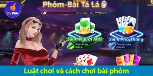 Bài Phỏm: Khám phá cách chơi và các kỹ năng cần có để chơi luôn thắng