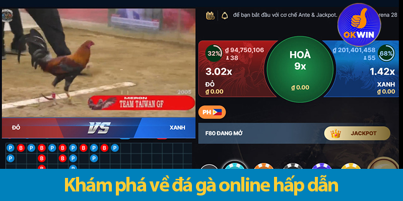 Mẹo cá cược đá gà online - Bật mí chiến thuật thắng lớn 